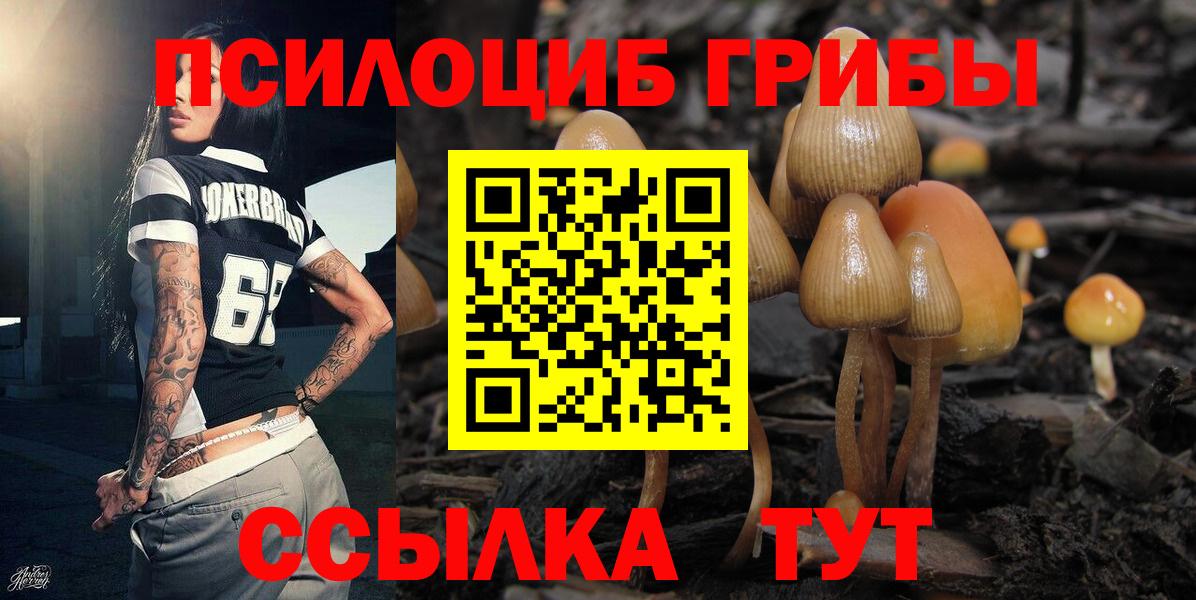 Переславль-Залесский  Псилоцибиновые грибы мицелий  Галлюциногенные грибы прущие грибы  Вход с VPN 